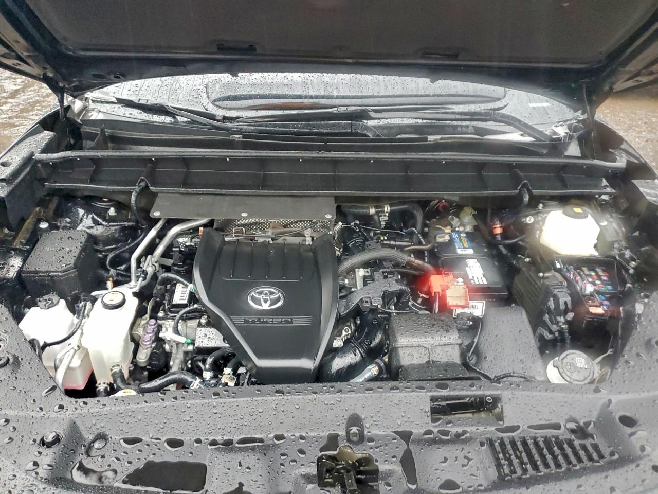 2023 TOYOTA HIGHLANDER L photo 12