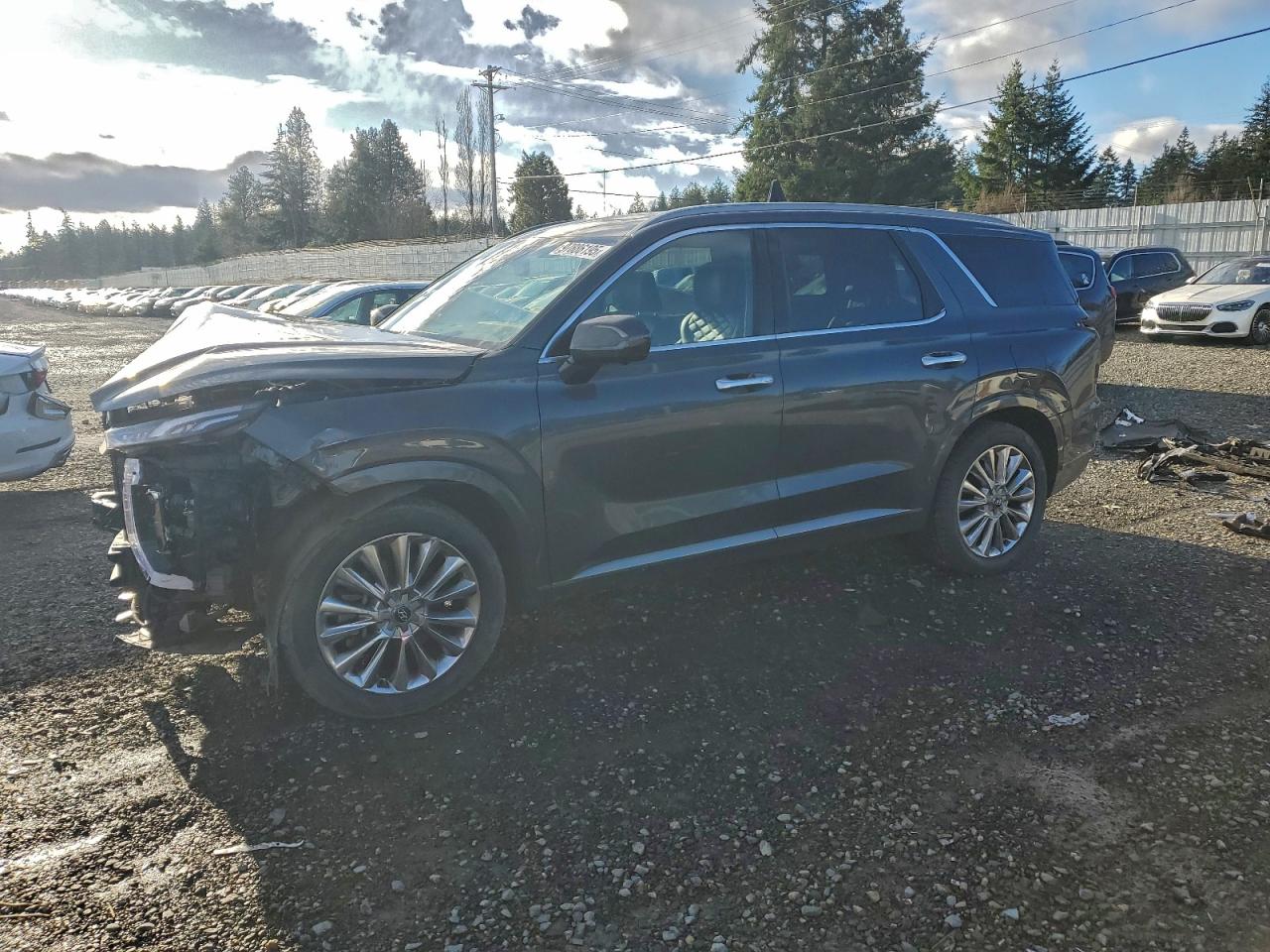 2020 HYUNDAI PALISADE