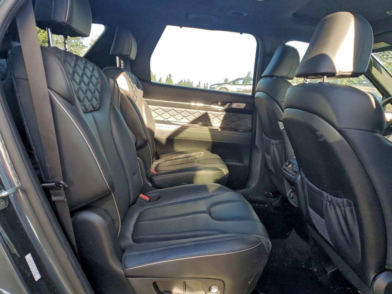 2020 HYUNDAI PALISADE LIMITED photo 11