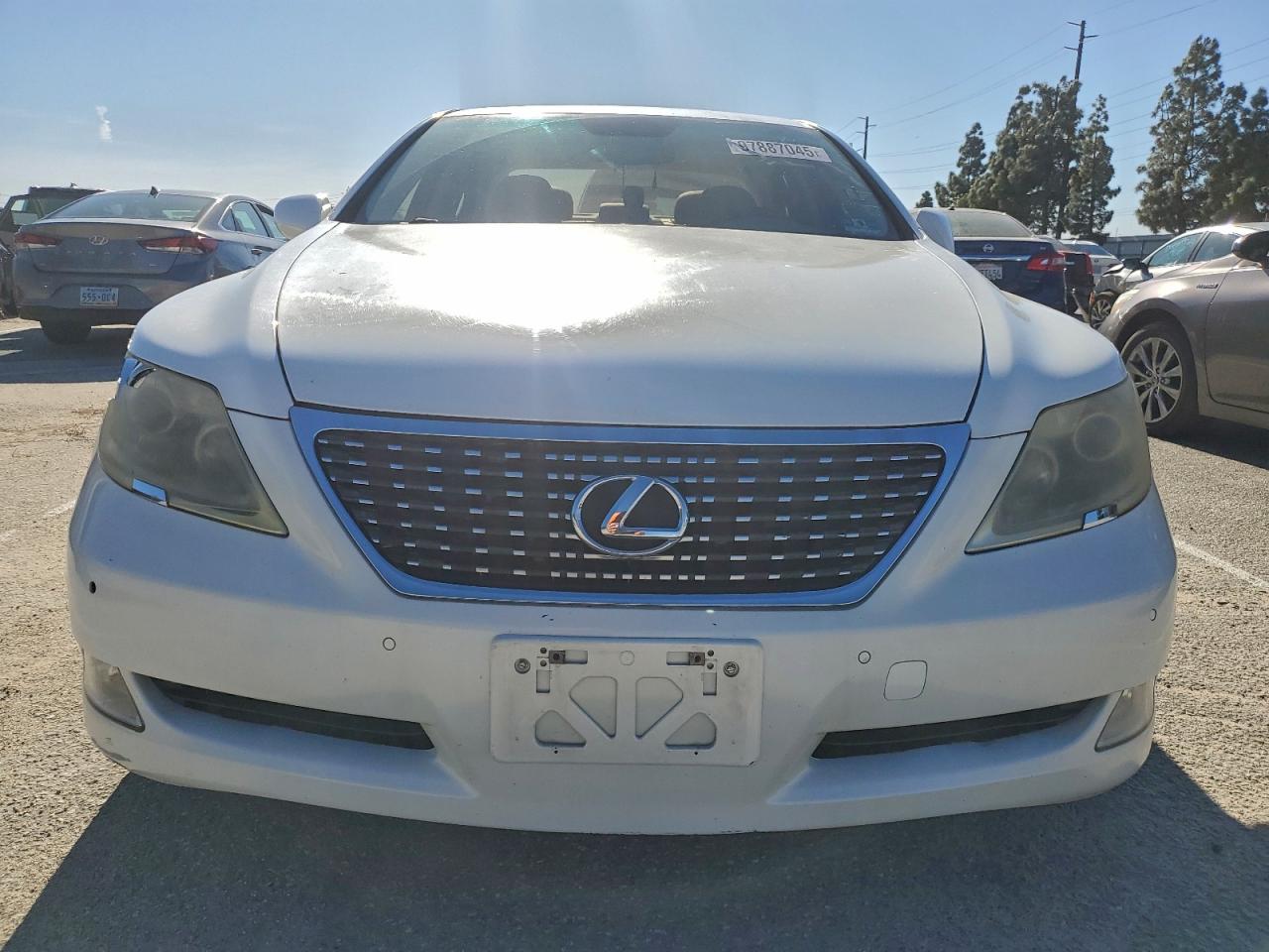 2007 LEXUS LS 460 photo 5