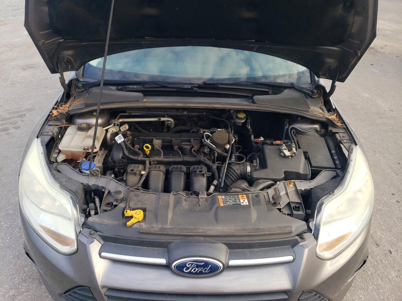 2014 FORD FOCUS SE photo 11