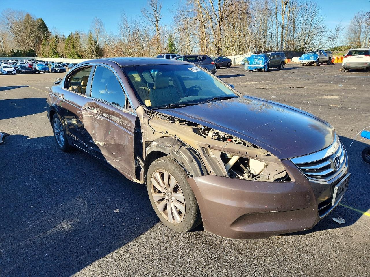 2011 HONDA ACCORD EXL photo 4
