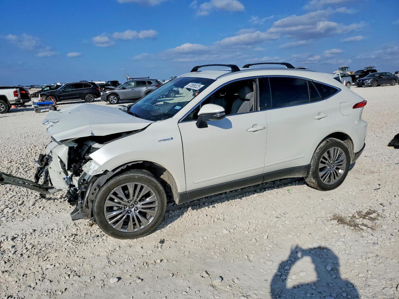 2021 TOYOTA VENZA