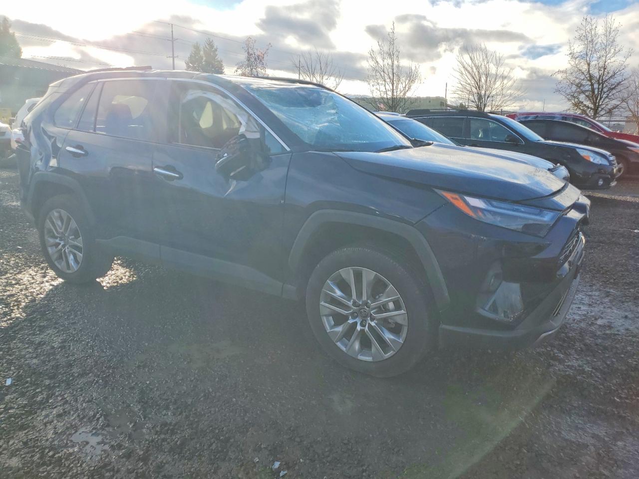 2025 TOYOTA RAV4 LIMITED photo 4