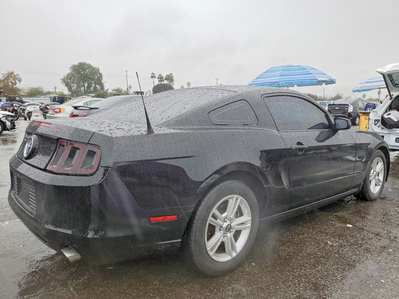 2013 FORD MUSTANG photo 3