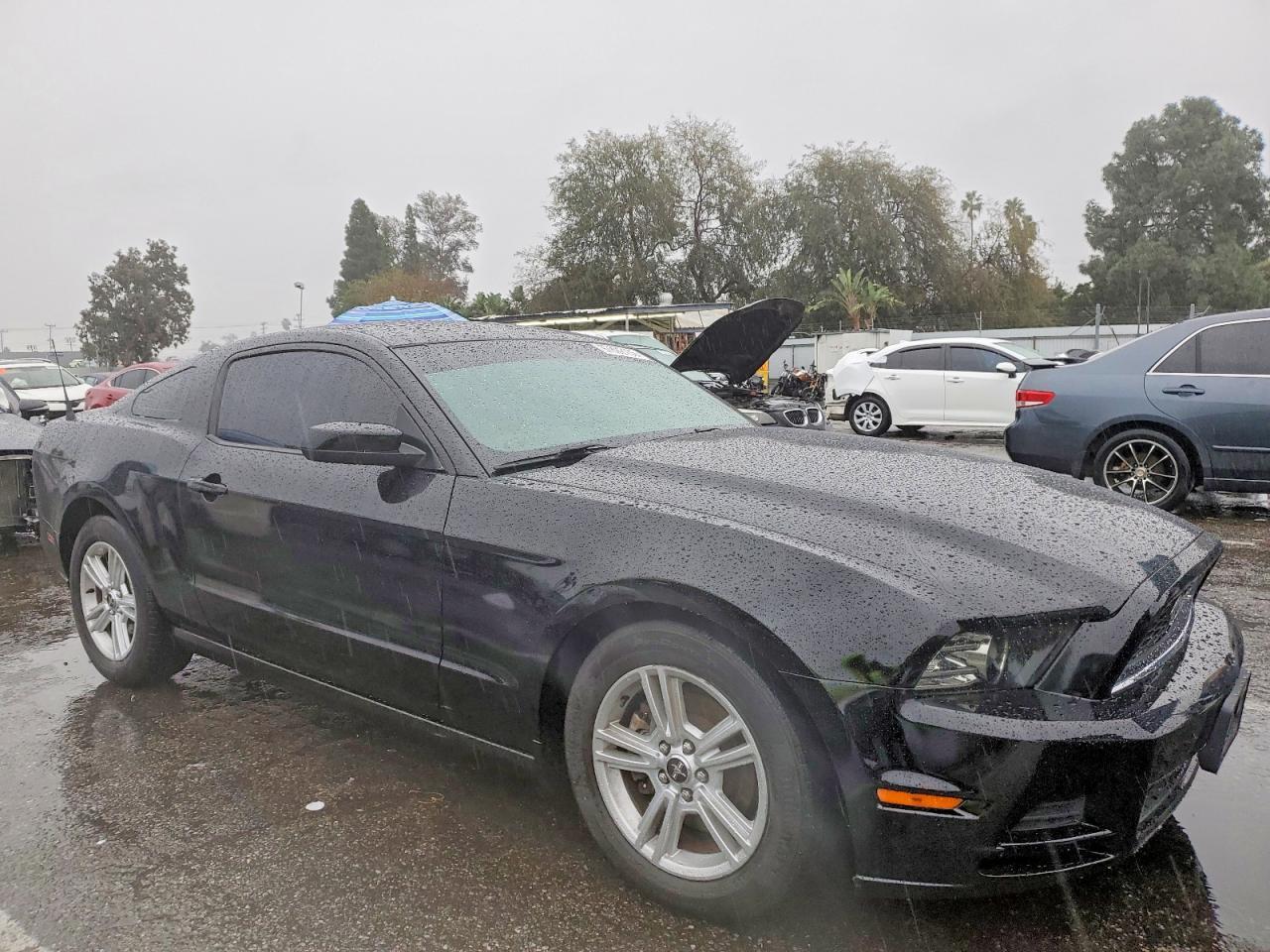 2013 FORD MUSTANG photo 4