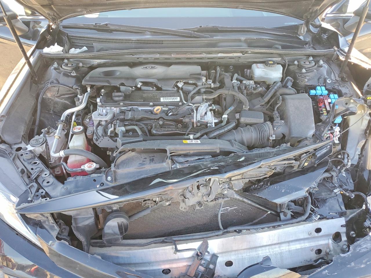 2019 TOYOTA CAMRY HYBRID photo 11