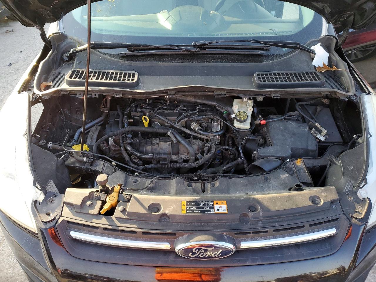 2013 FORD ESCAPE SE photo 12