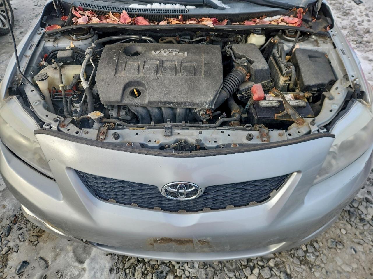 2010 TOYOTA COROLLA BASE photo 11
