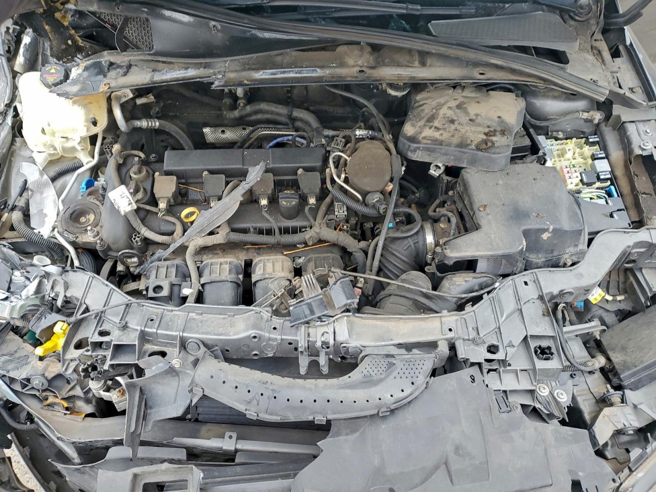 2015 FORD FOCUS SE photo 21