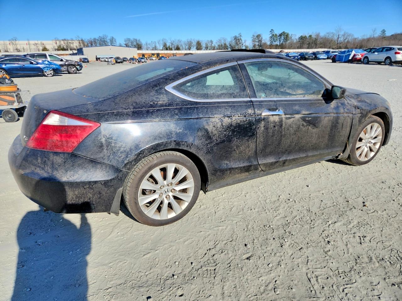 2008 HONDA ACCORD EXL photo 3
