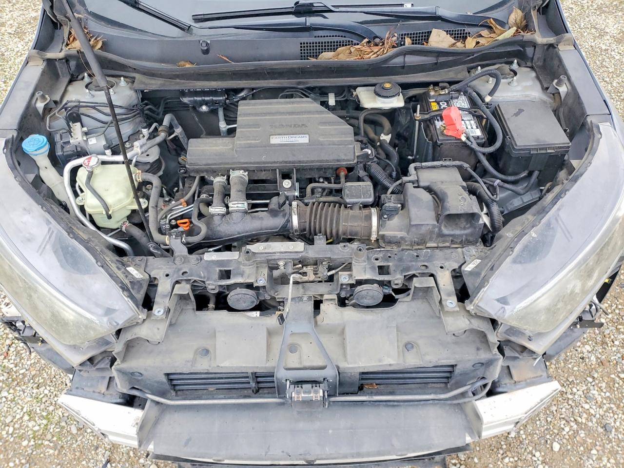 2017 HONDA CR-V photo 11