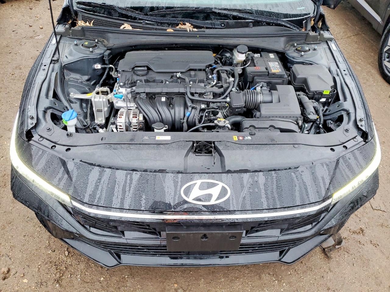 2025 HYUNDAI ELANTRA LIMITED photo 21