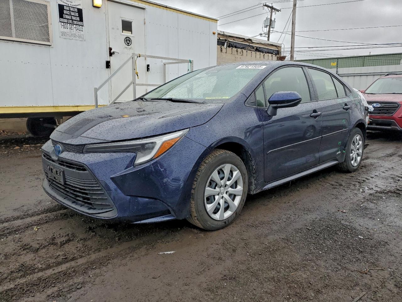 2023 TOYOTA COROLLA