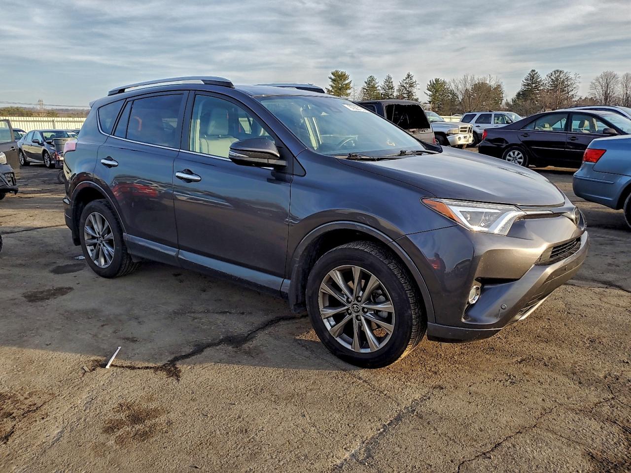 2017 TOYOTA RAV4 LIMITED photo 13