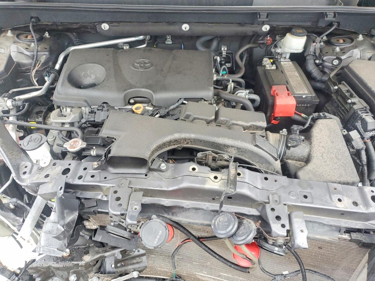 2019 TOYOTA RAV4 XLE photo 23