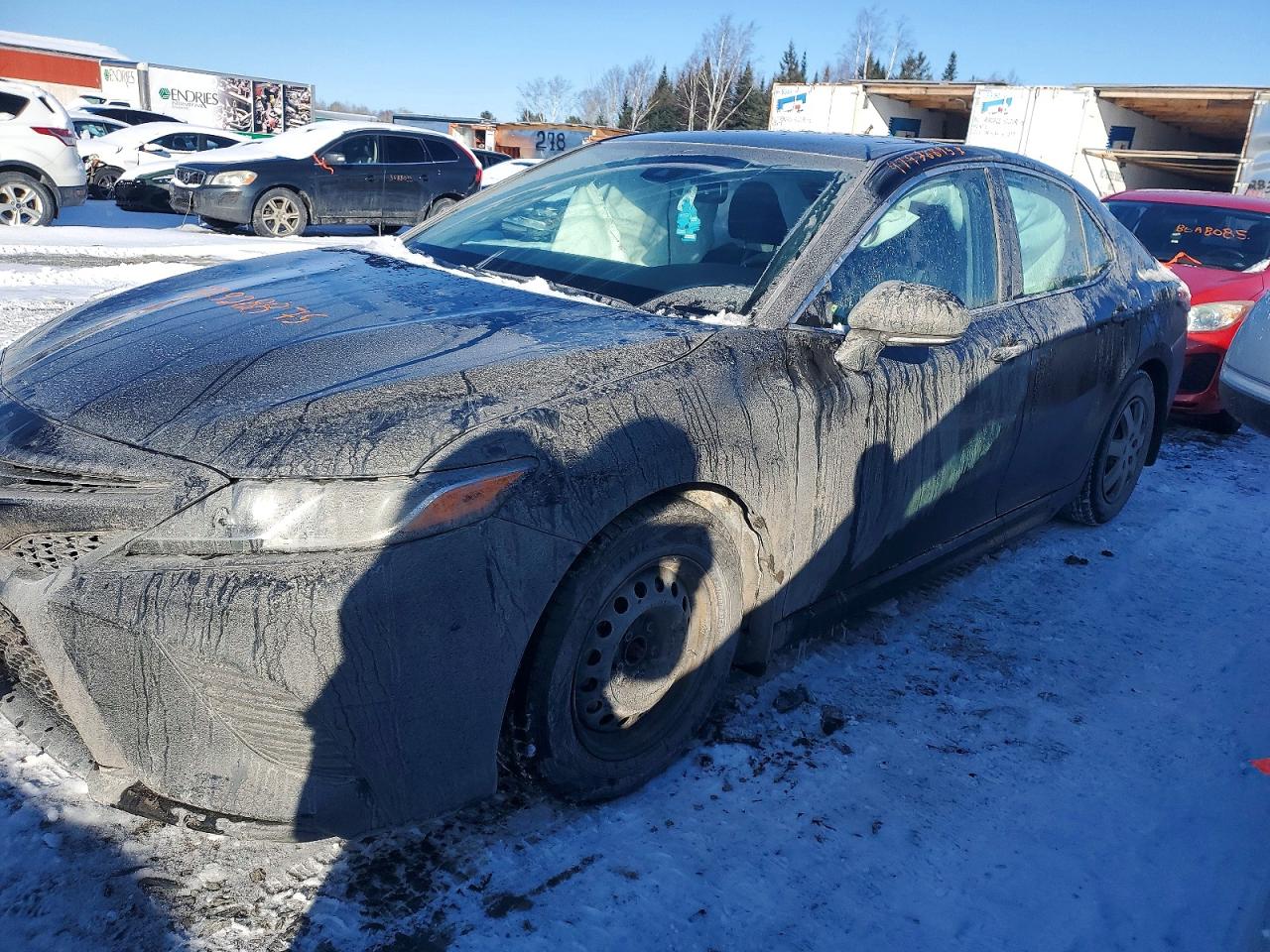 2019 TOYOTA CAMRY