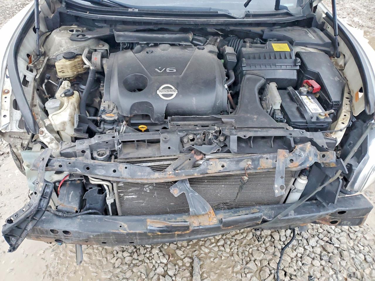 2010 NISSAN MAXIMA S photo 11