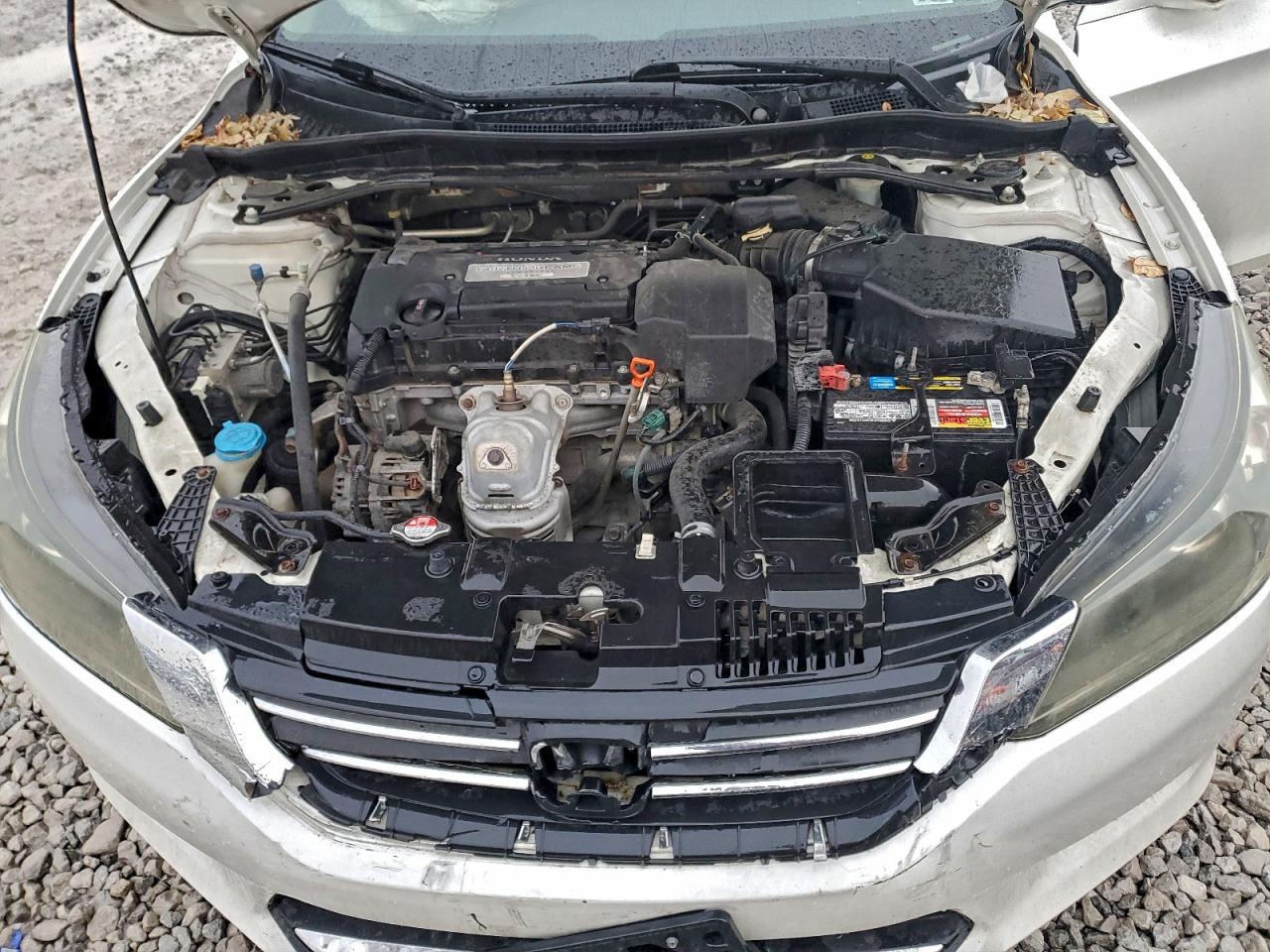2013 HONDA ACCORD EX photo 11