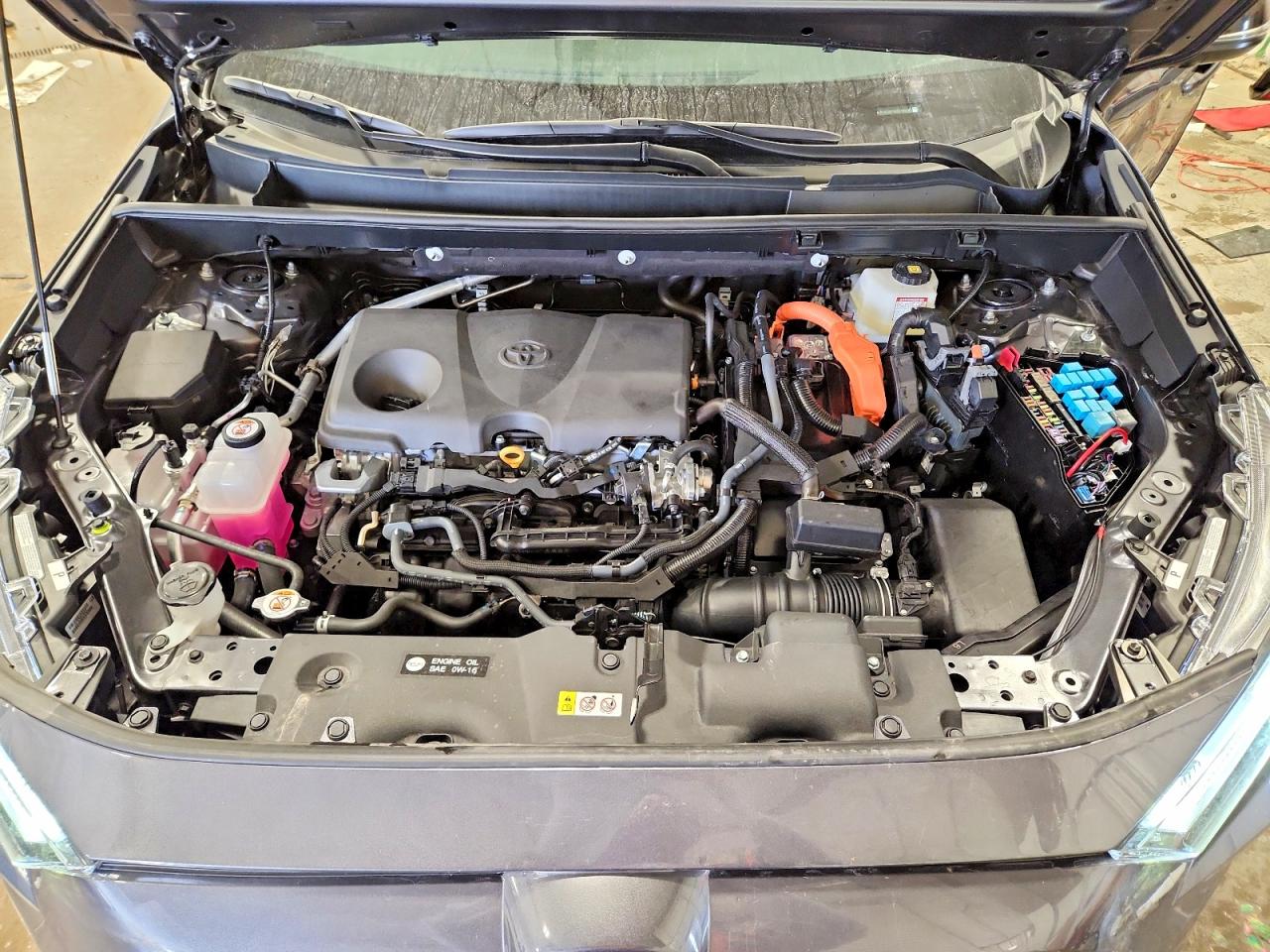 2025 TOYOTA RAV4 XSE photo 12