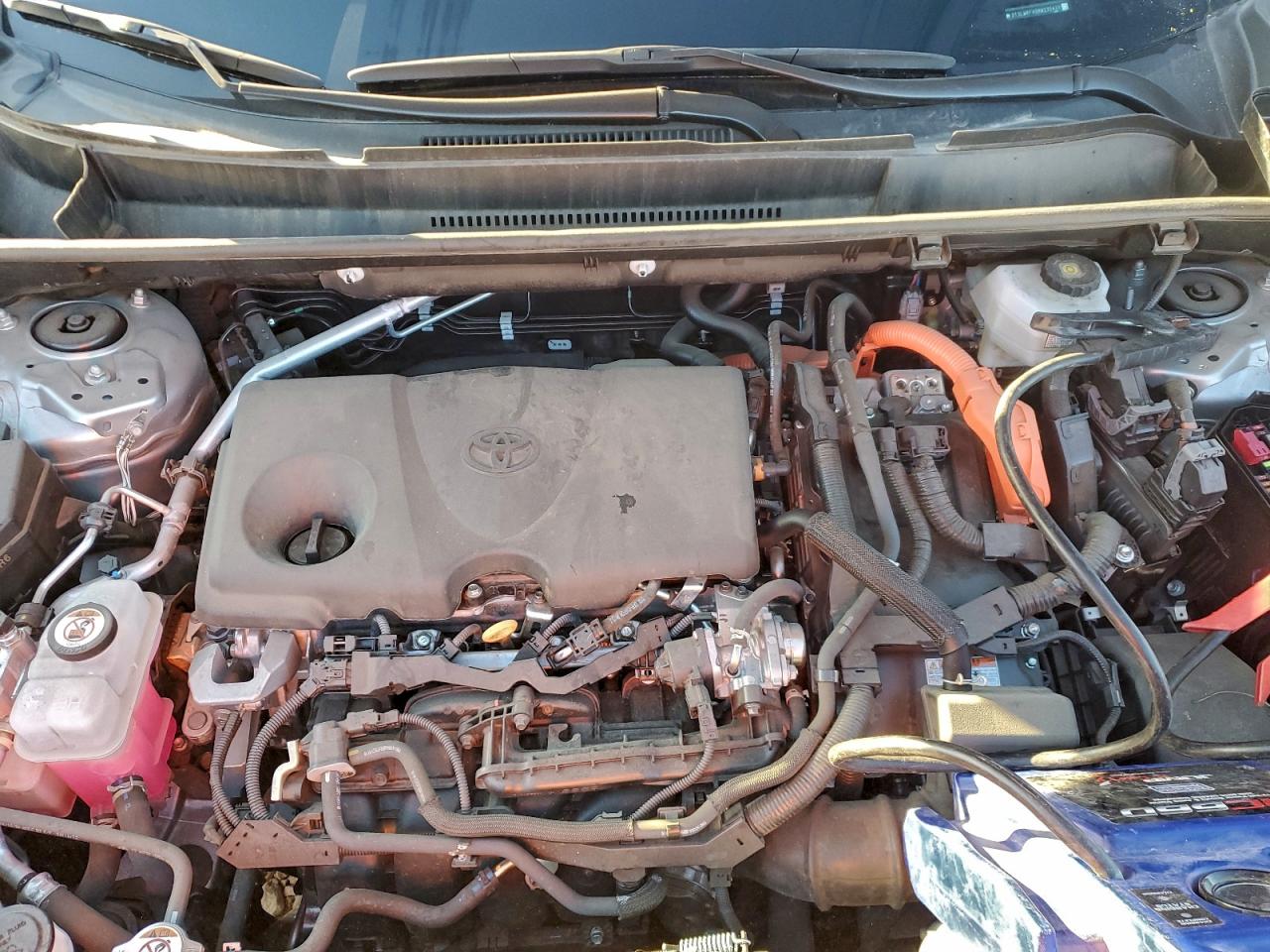 2024 TOYOTA RAV4 LE photo 12