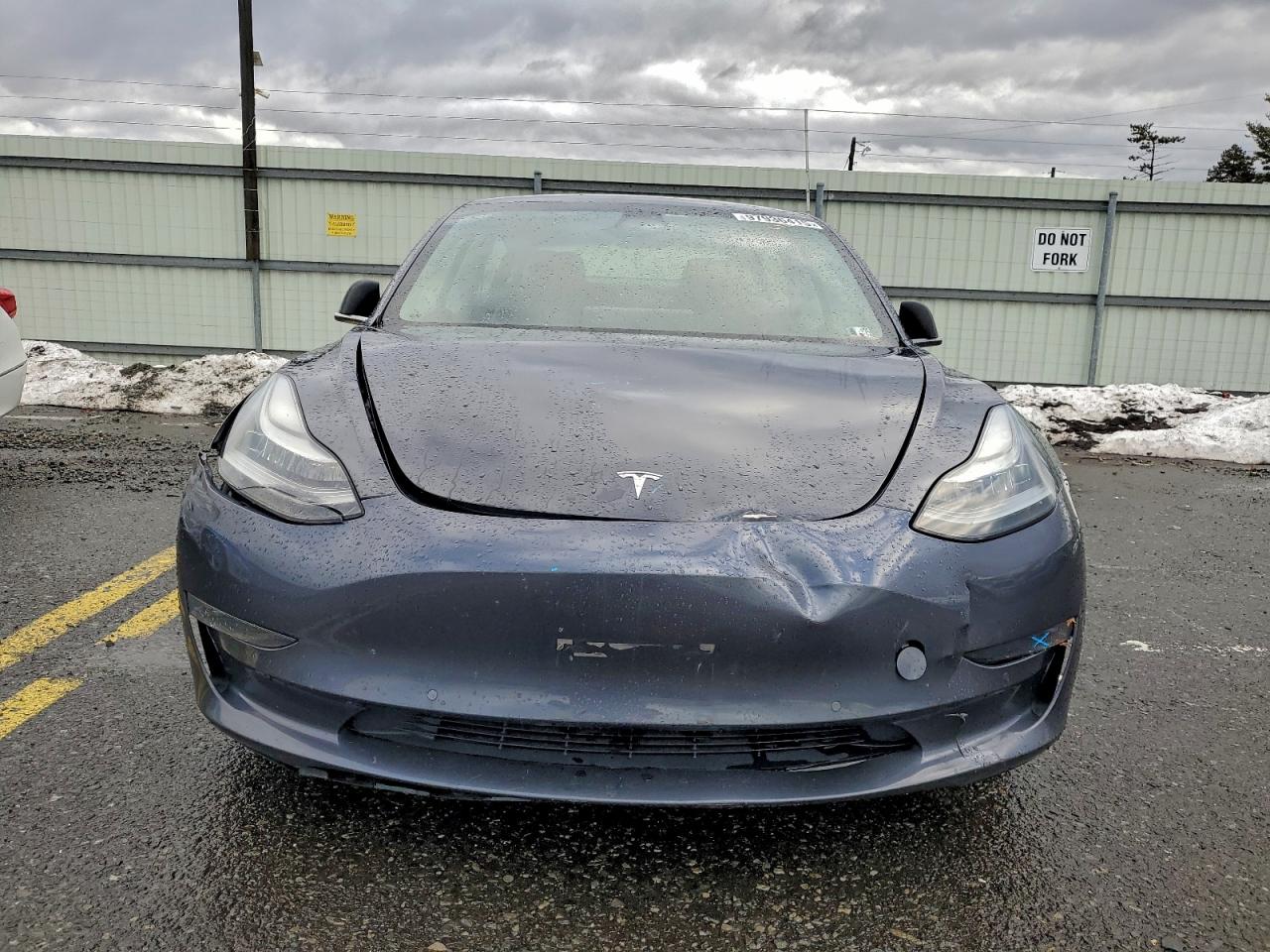 2019 TESLA MODEL 3 photo 9