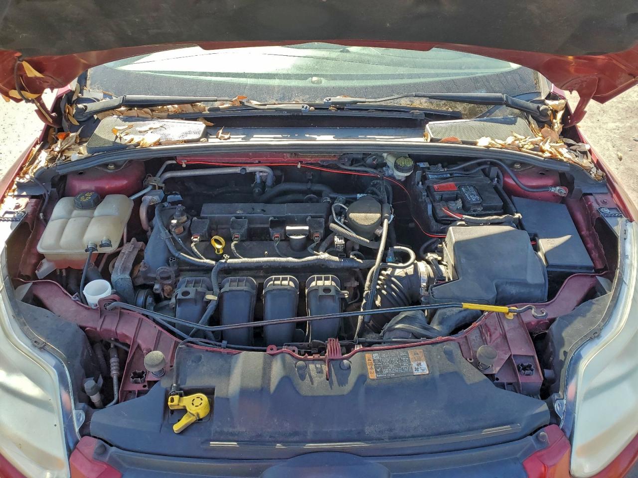 2014 FORD FOCUS SE photo 31