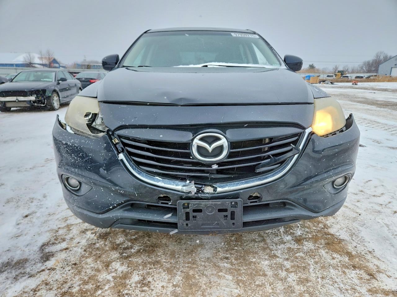 2014 MAZDA CX-9 TOURING photo 9