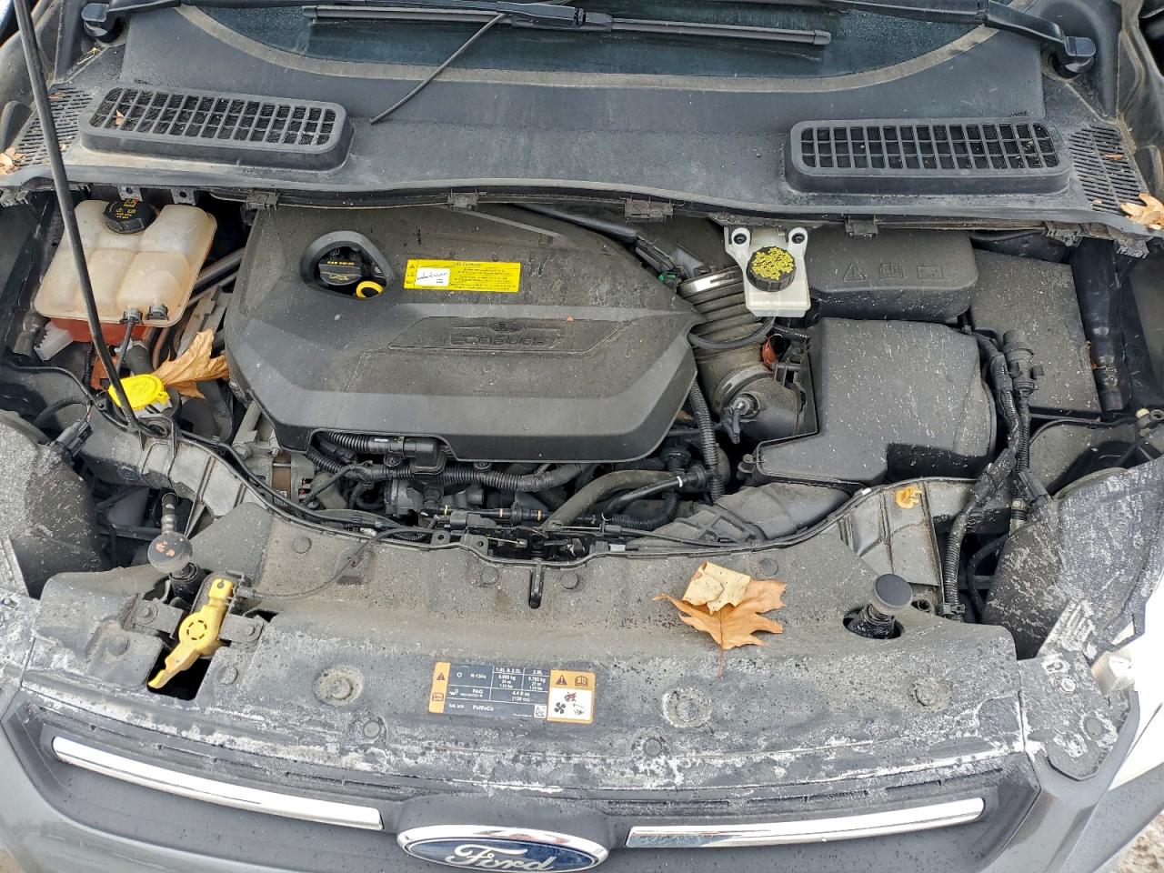 2015 FORD ESCAPE SE photo 12