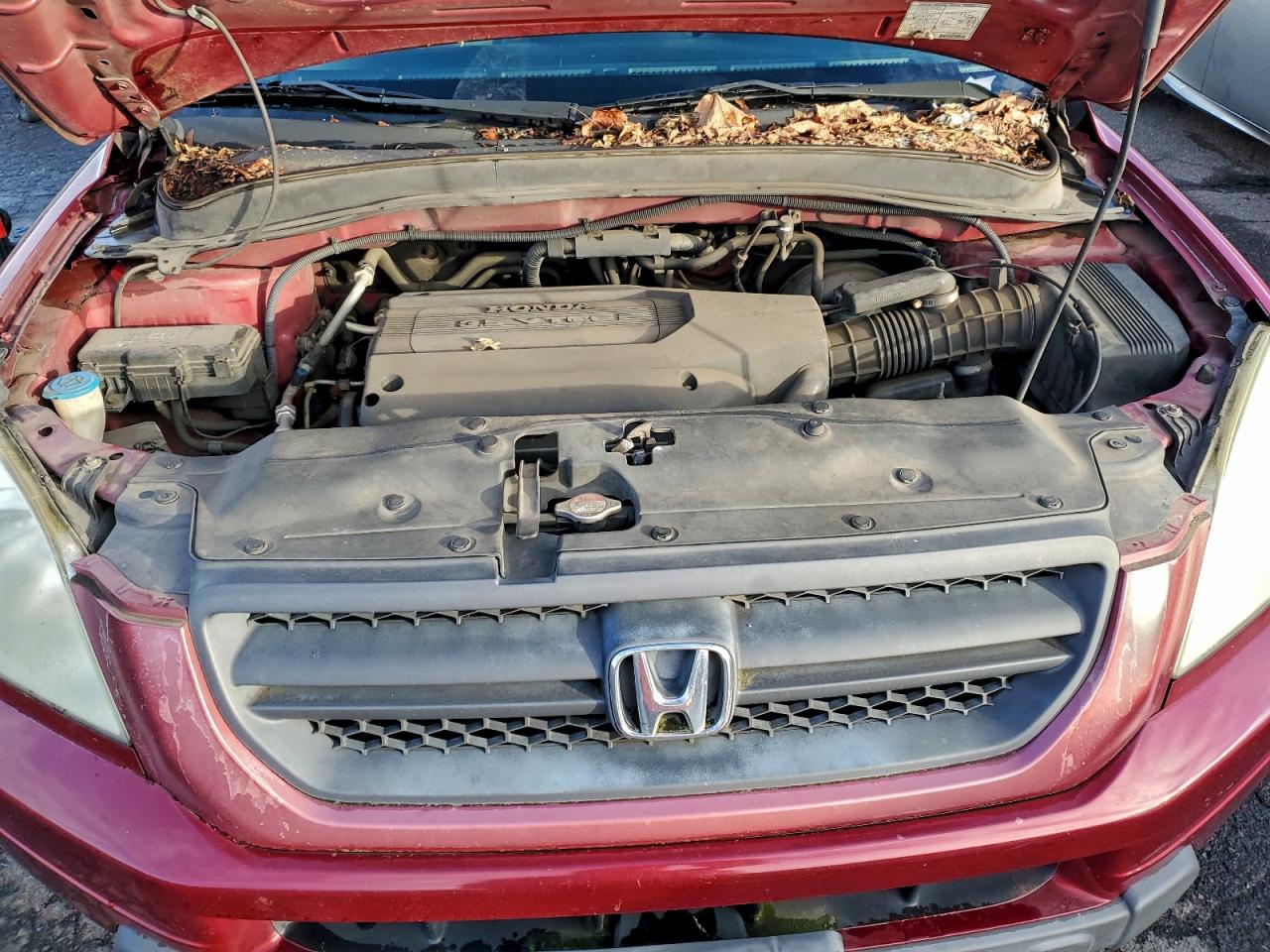 2003 HONDA PILOT EX photo 11