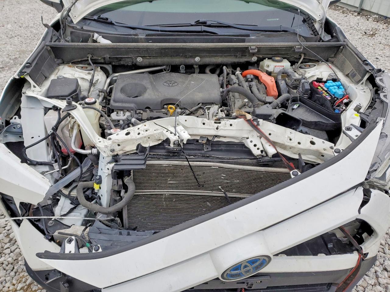 2019 TOYOTA RAV4 XLE photo 12