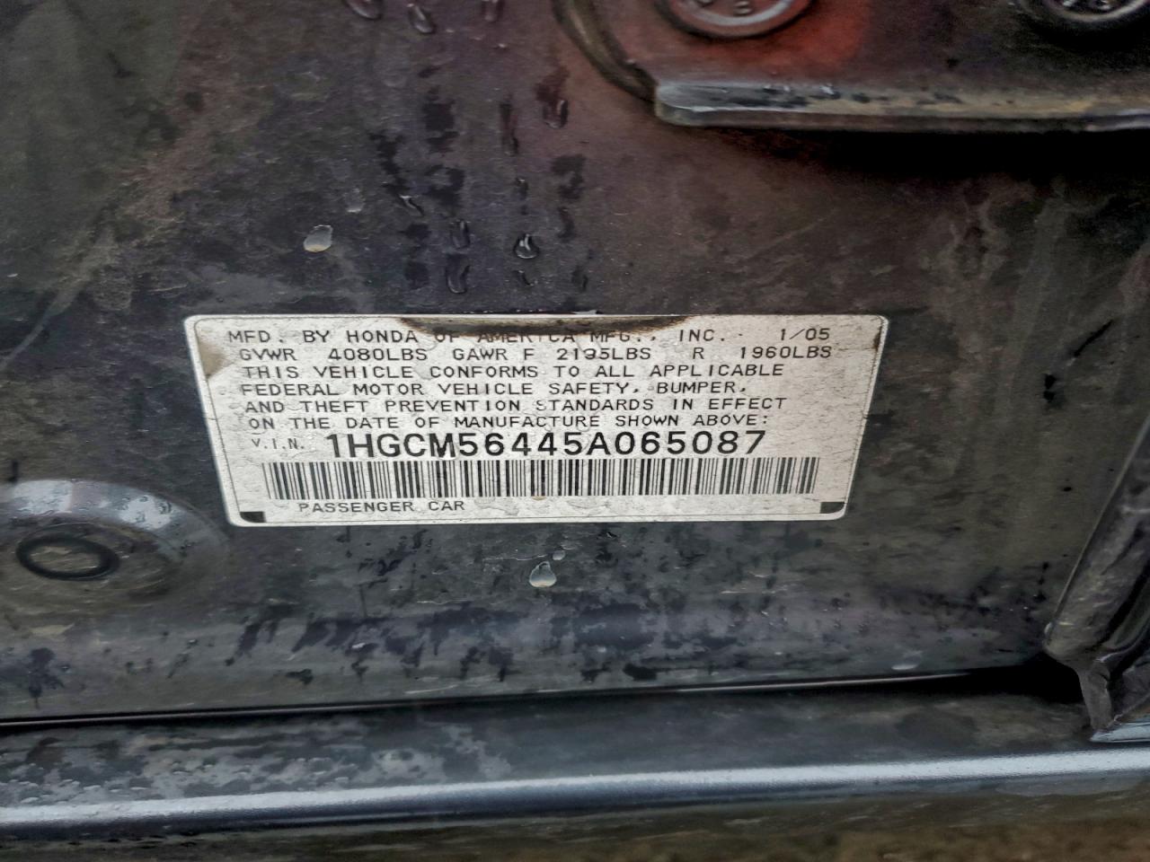 2005 HONDA ACCORD LX photo 12