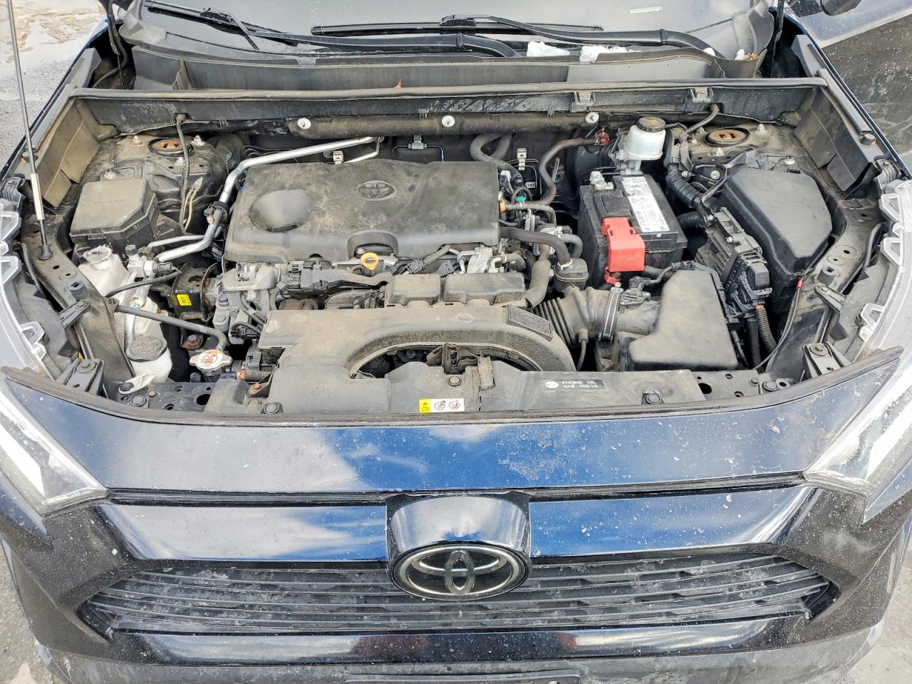 2019 TOYOTA RAV4 XLE photo 23