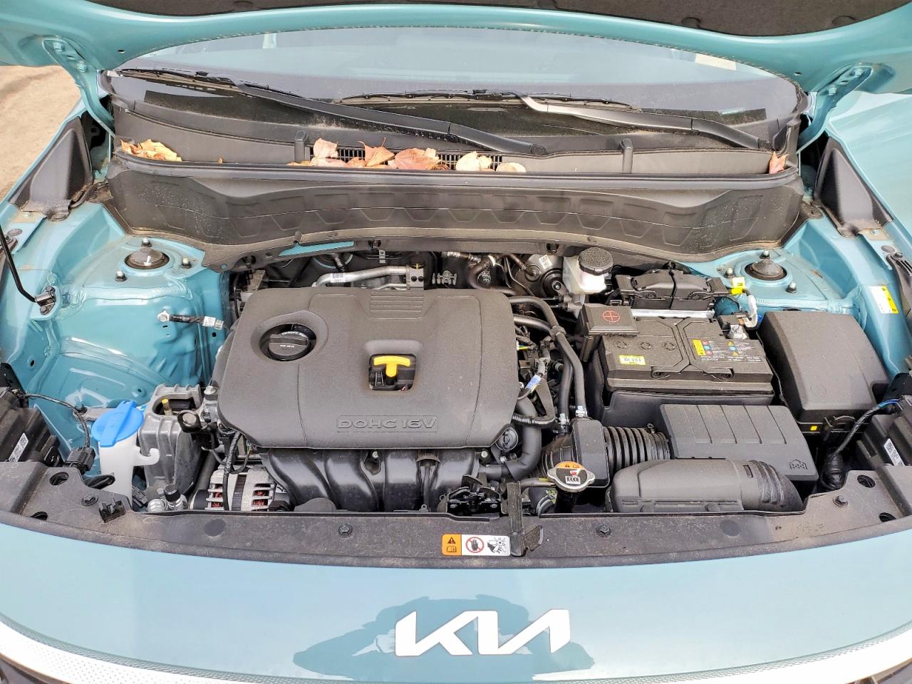 2025 KIA SELTOS EX photo 11
