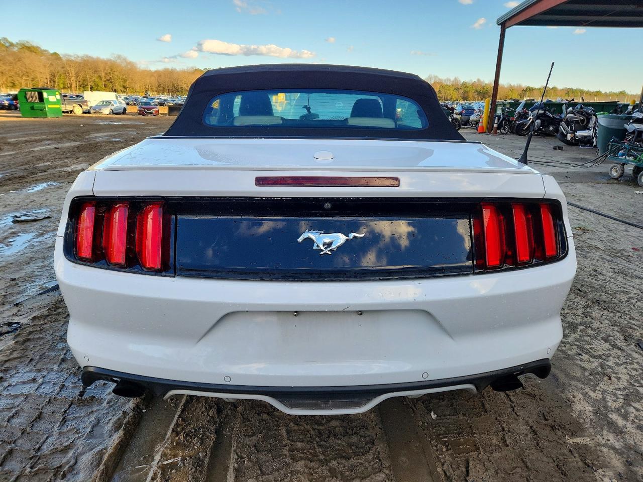 2015 FORD MUSTANG photo 11