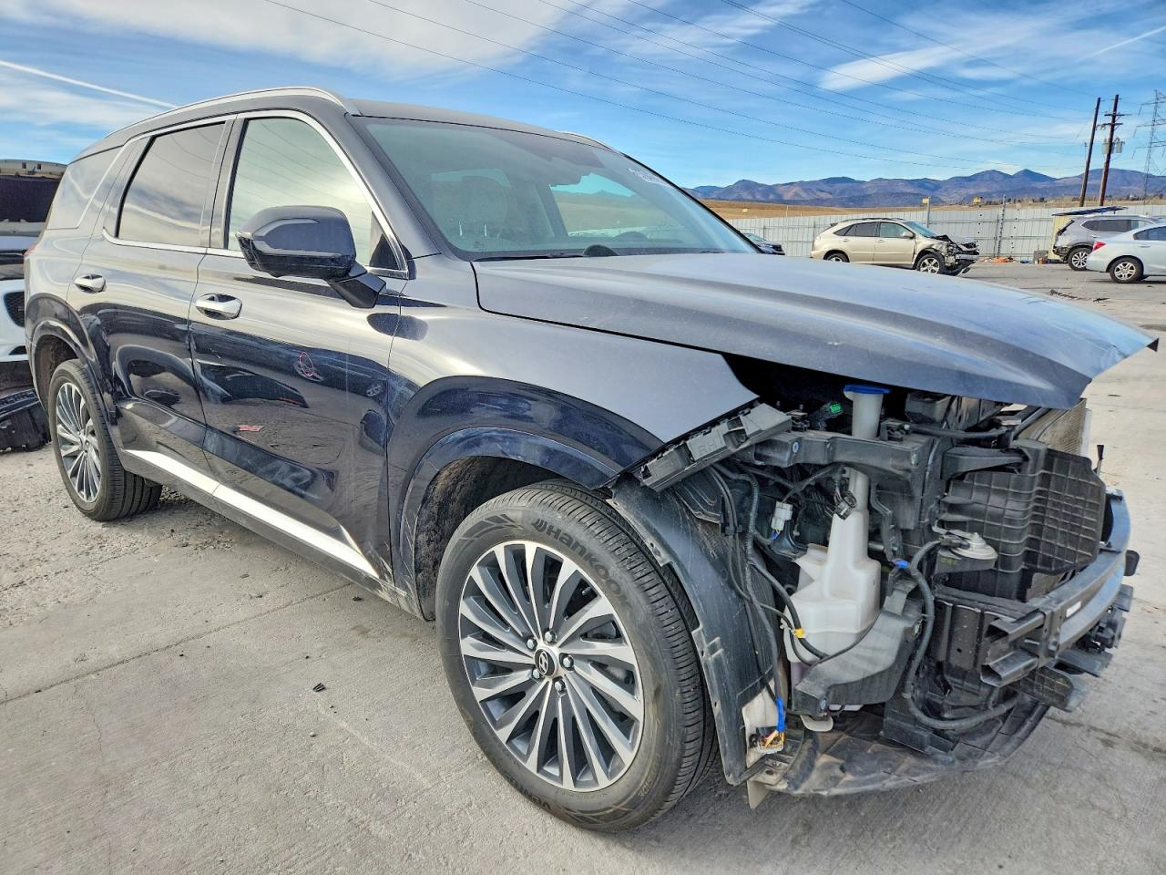 2024 HYUNDAI PALISADE CALLIGRAPHY photo 7