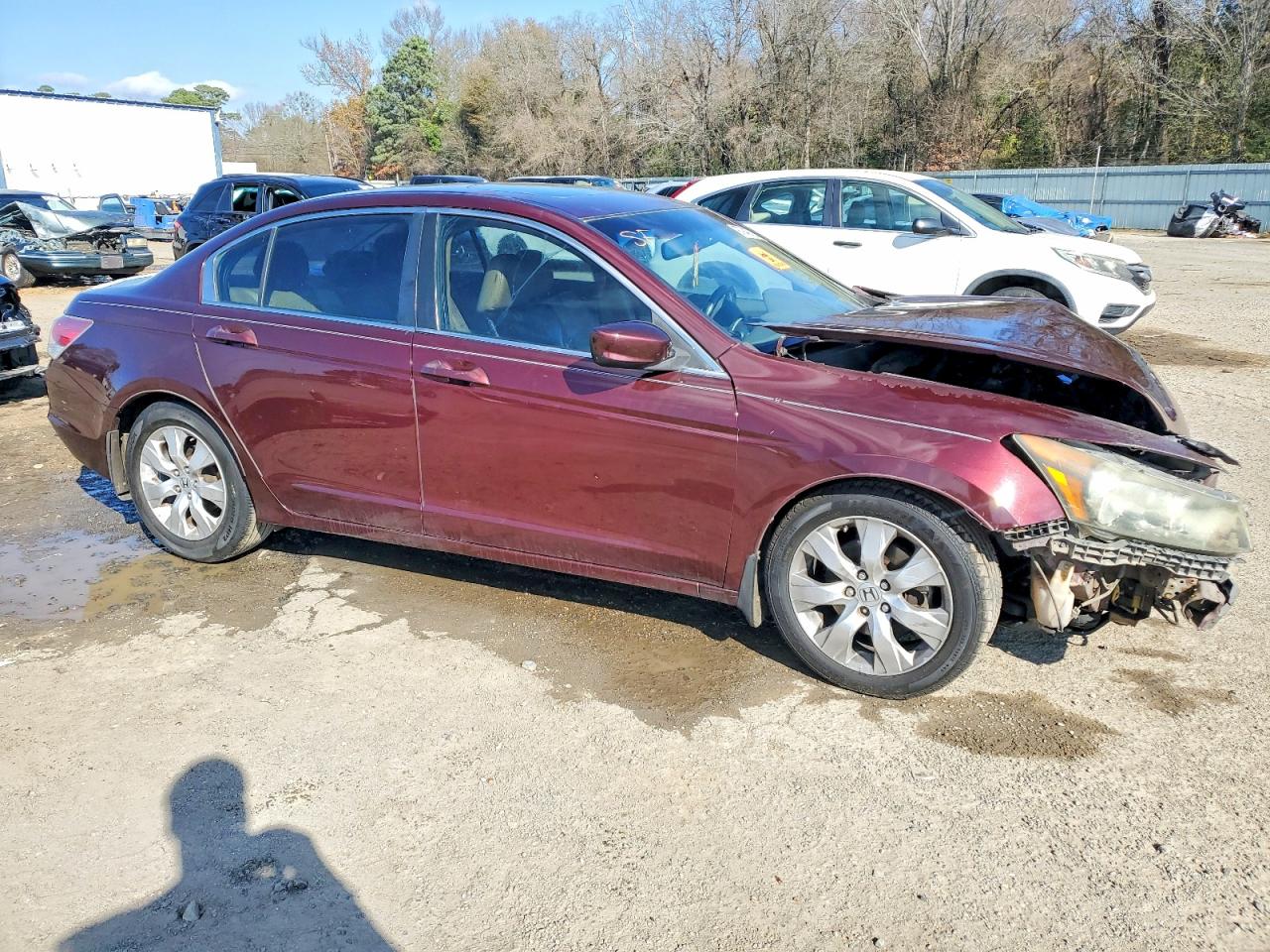 2010 HONDA ACCORD EXL photo 7