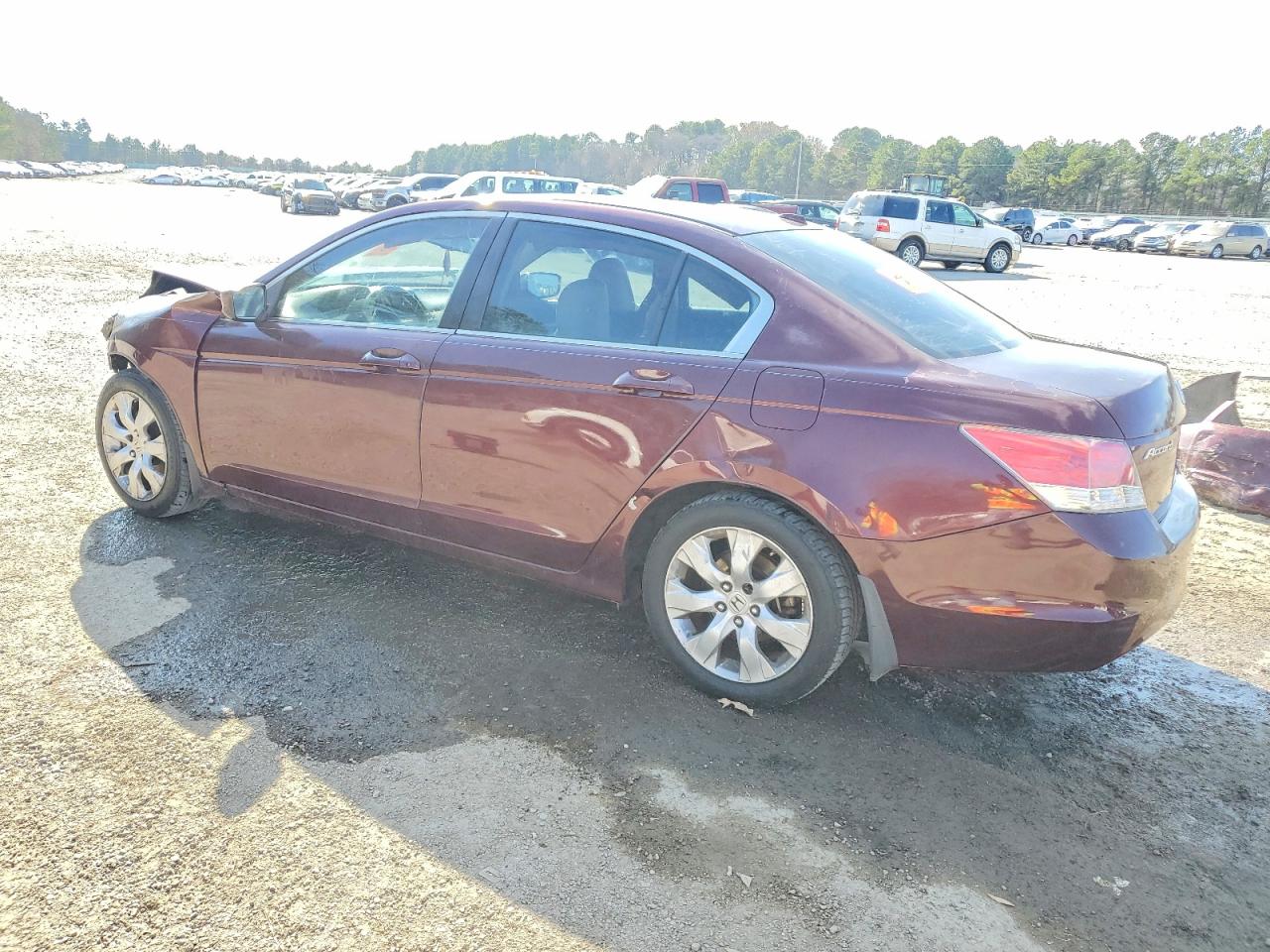 2010 HONDA ACCORD EXL photo 3