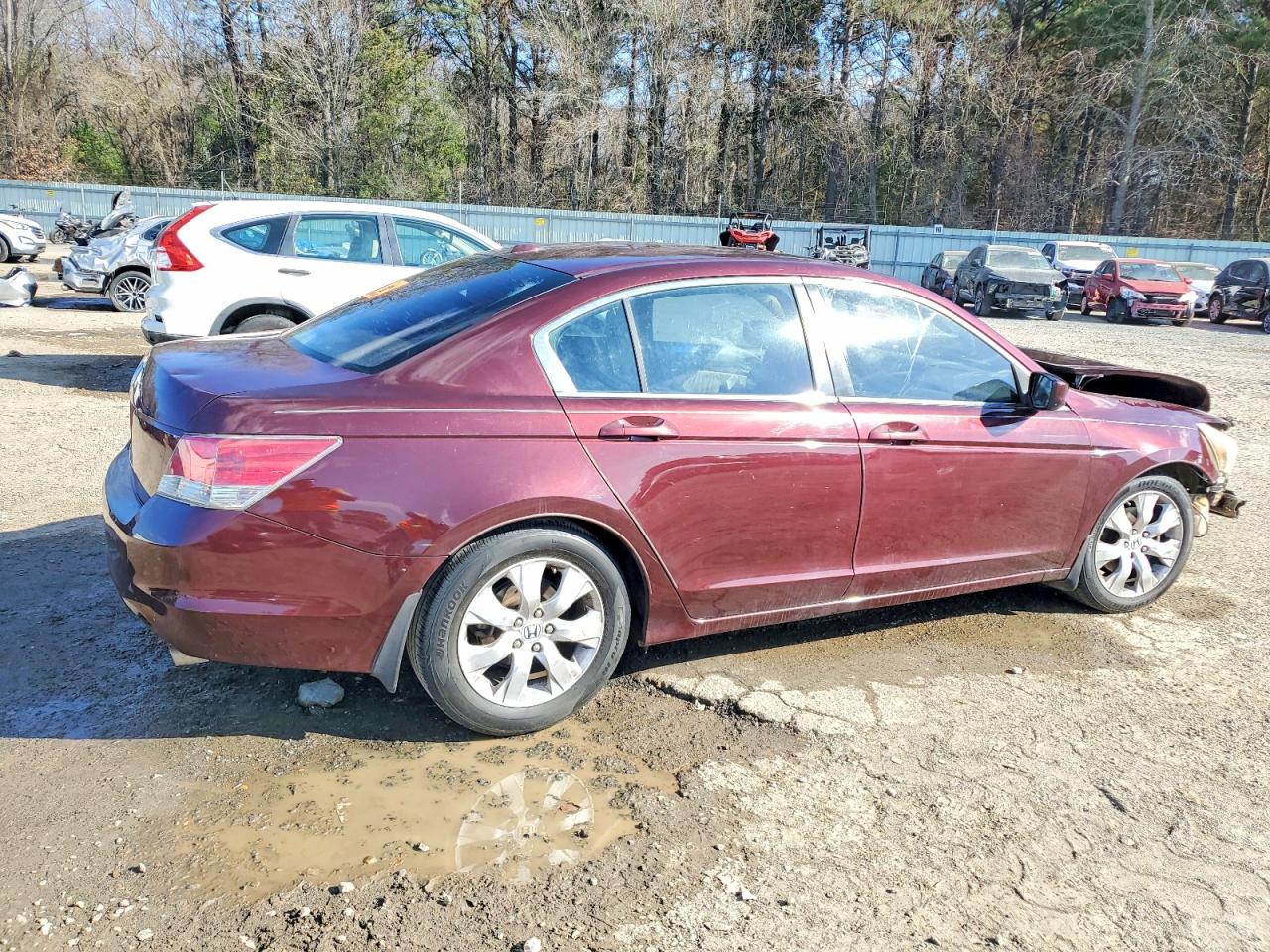 2010 HONDA ACCORD EXL photo 5