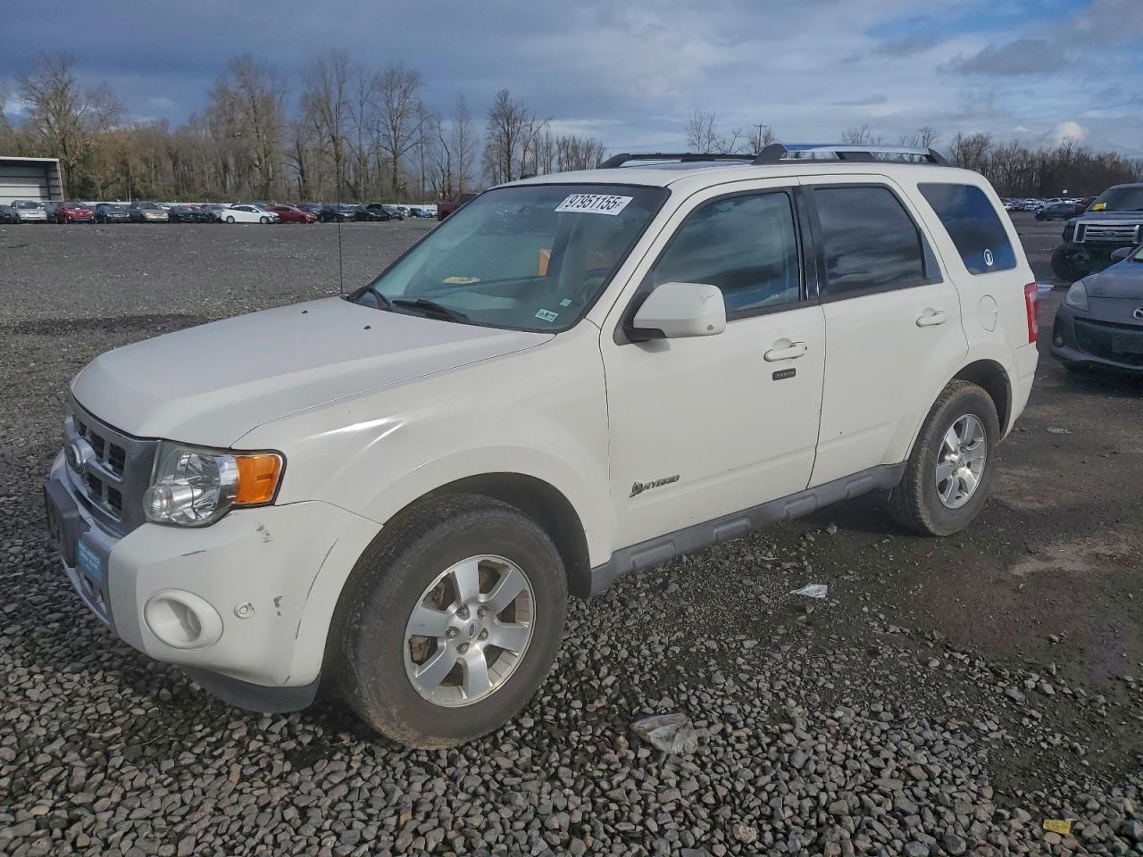 2010 FORD ESCAPE