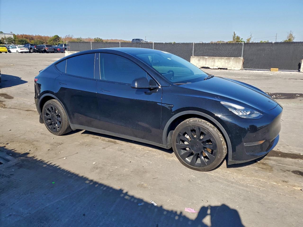 2021 TESLA MODEL Y photo 10