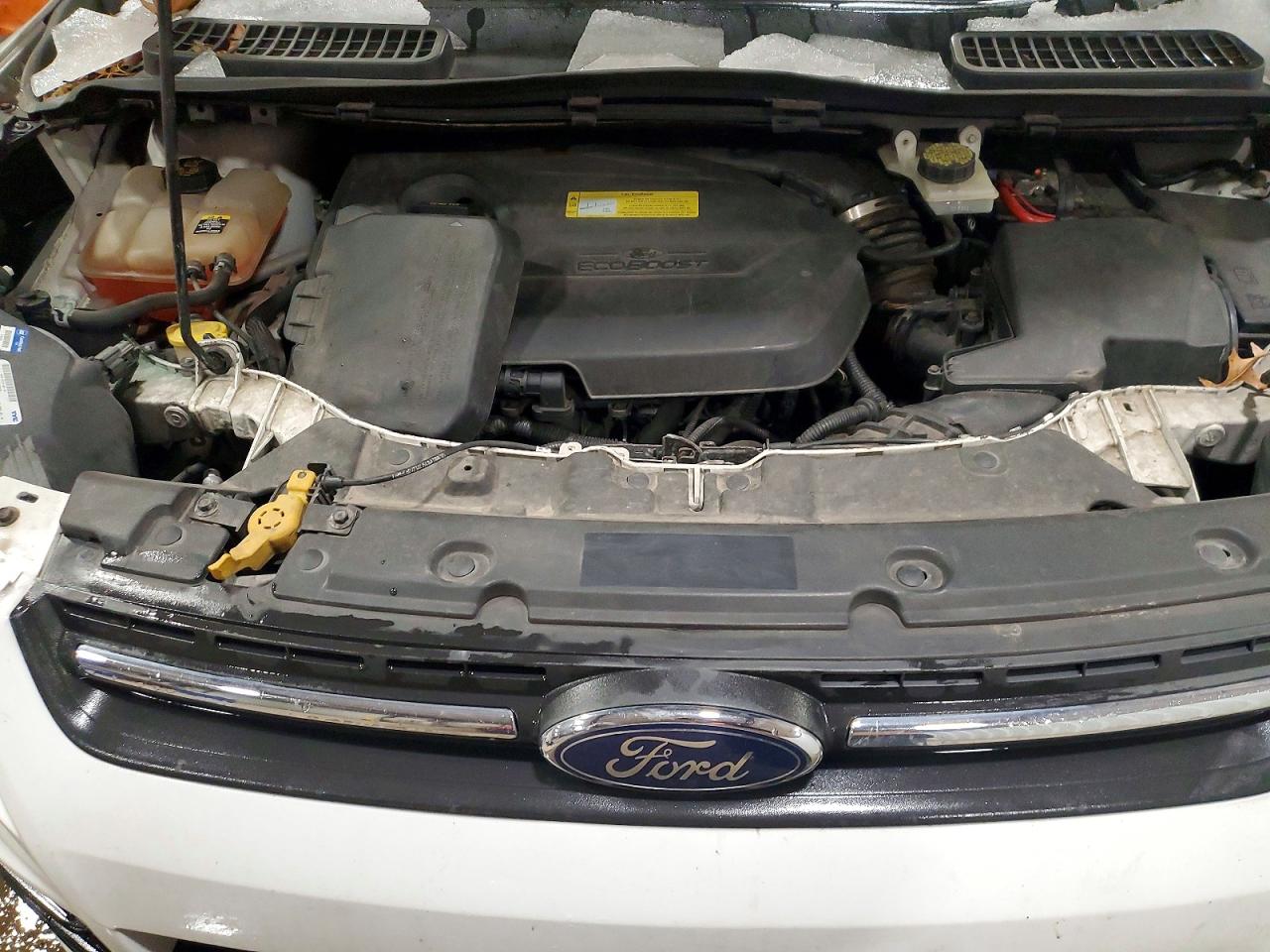 2013 FORD ESCAPE SE photo 11