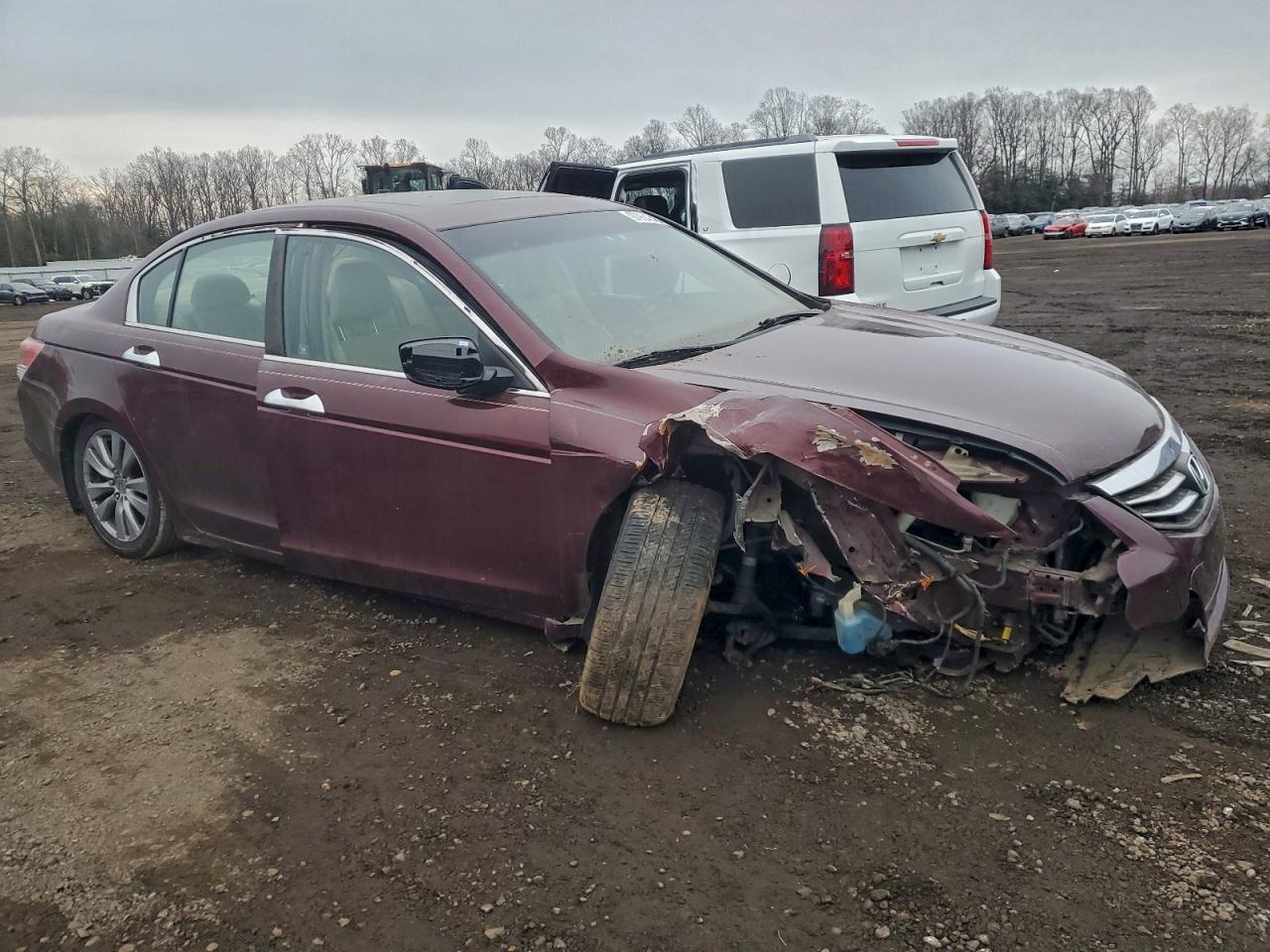 2011 HONDA ACCORD EXL photo 7