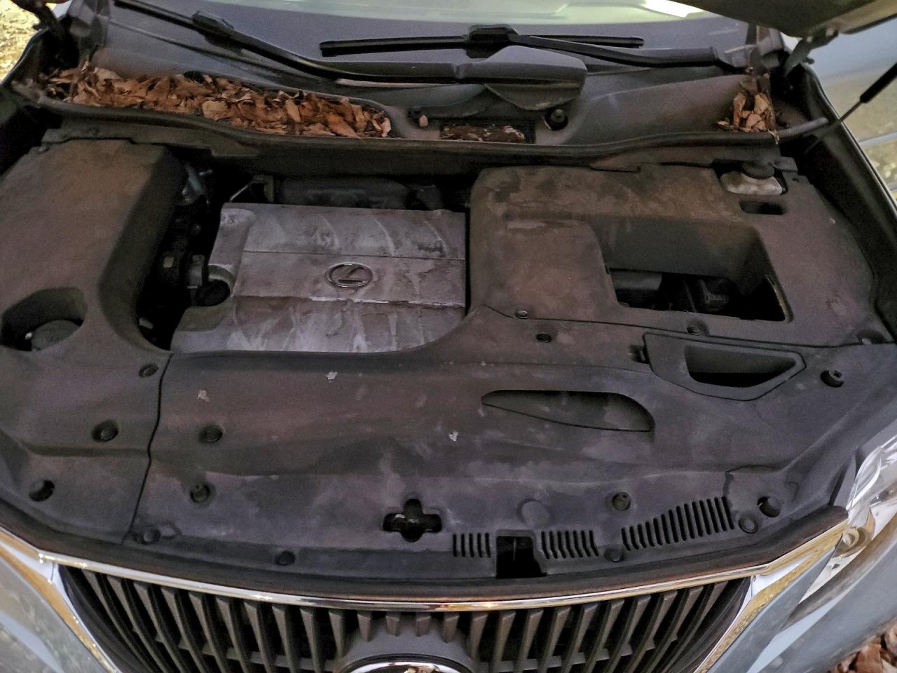 2011 LEXUS RX 350 photo 23