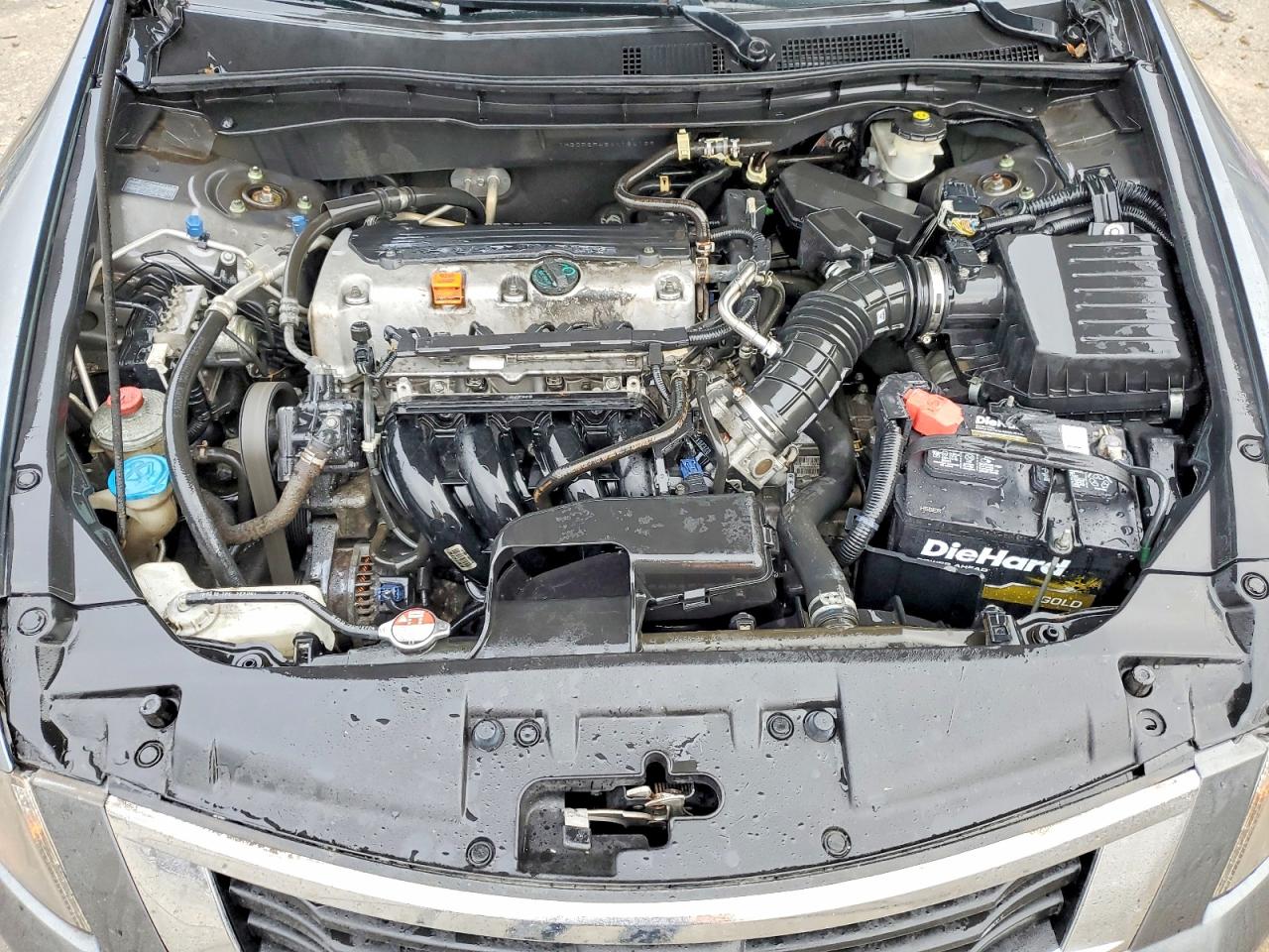 2010 HONDA ACCORD LXP photo 31