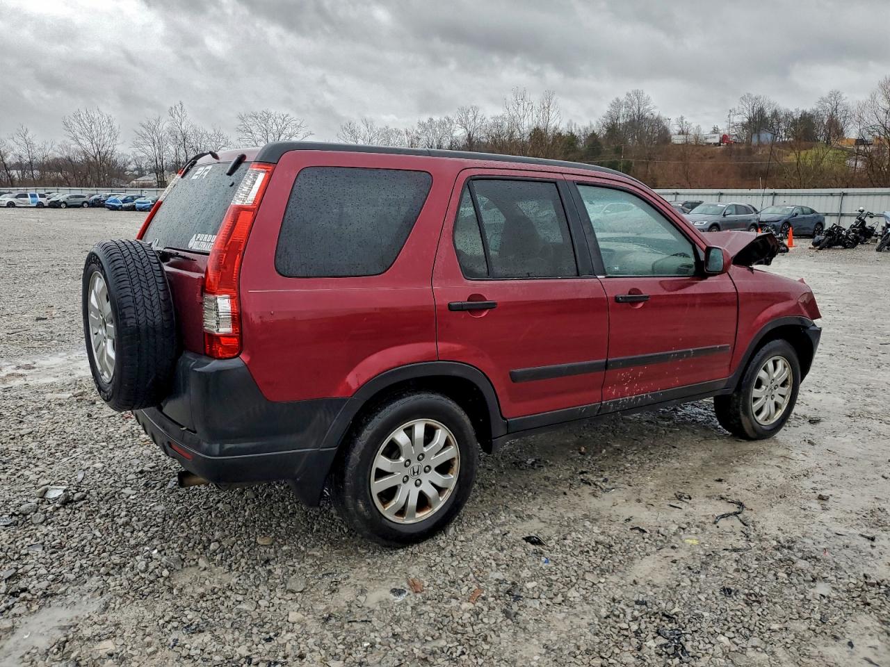 2005 HONDA CR-V EX photo 5