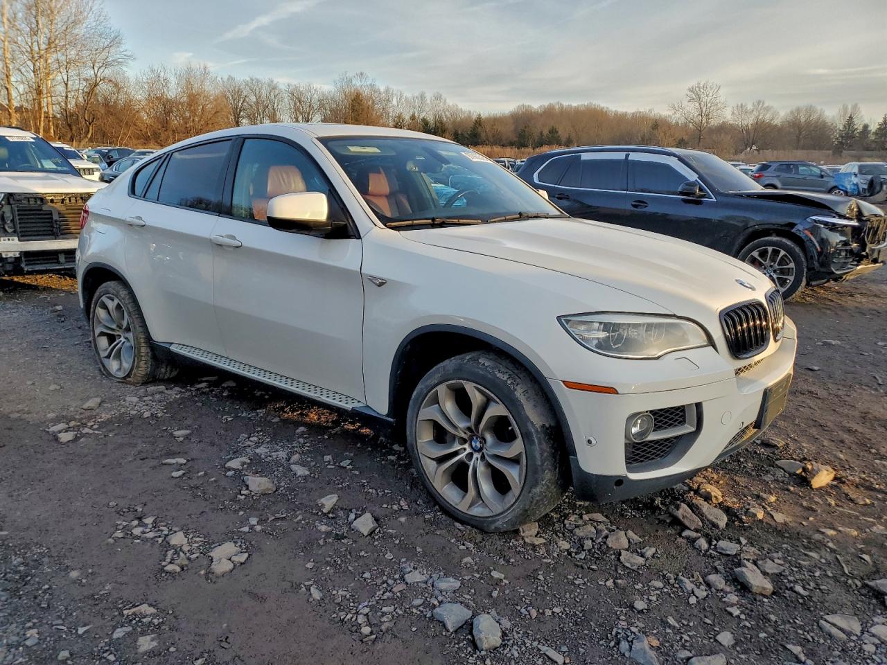 2014 BMW X6 XDRIVE50I photo 4