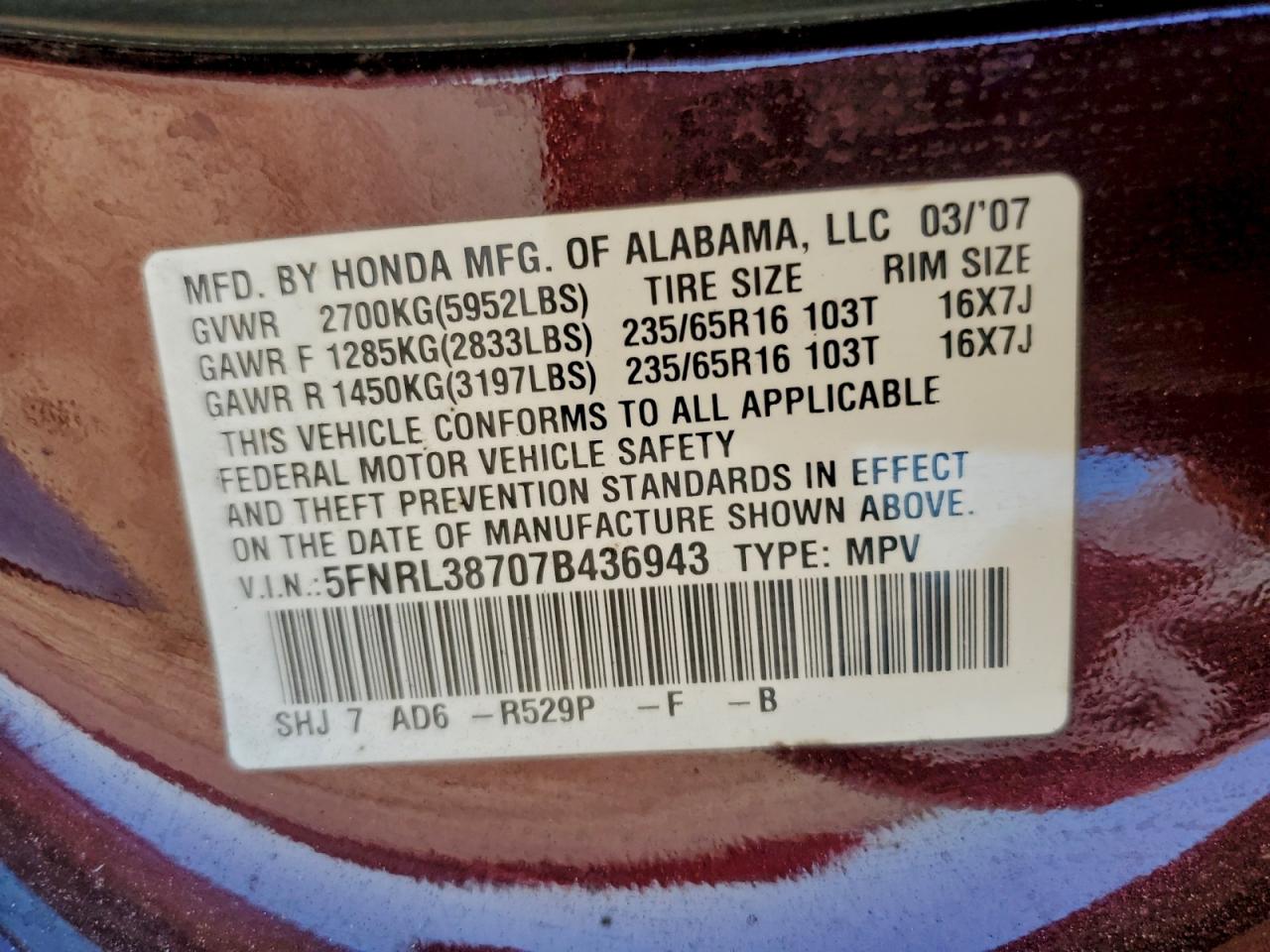 2007 HONDA ODYSSEY EXL photo 14