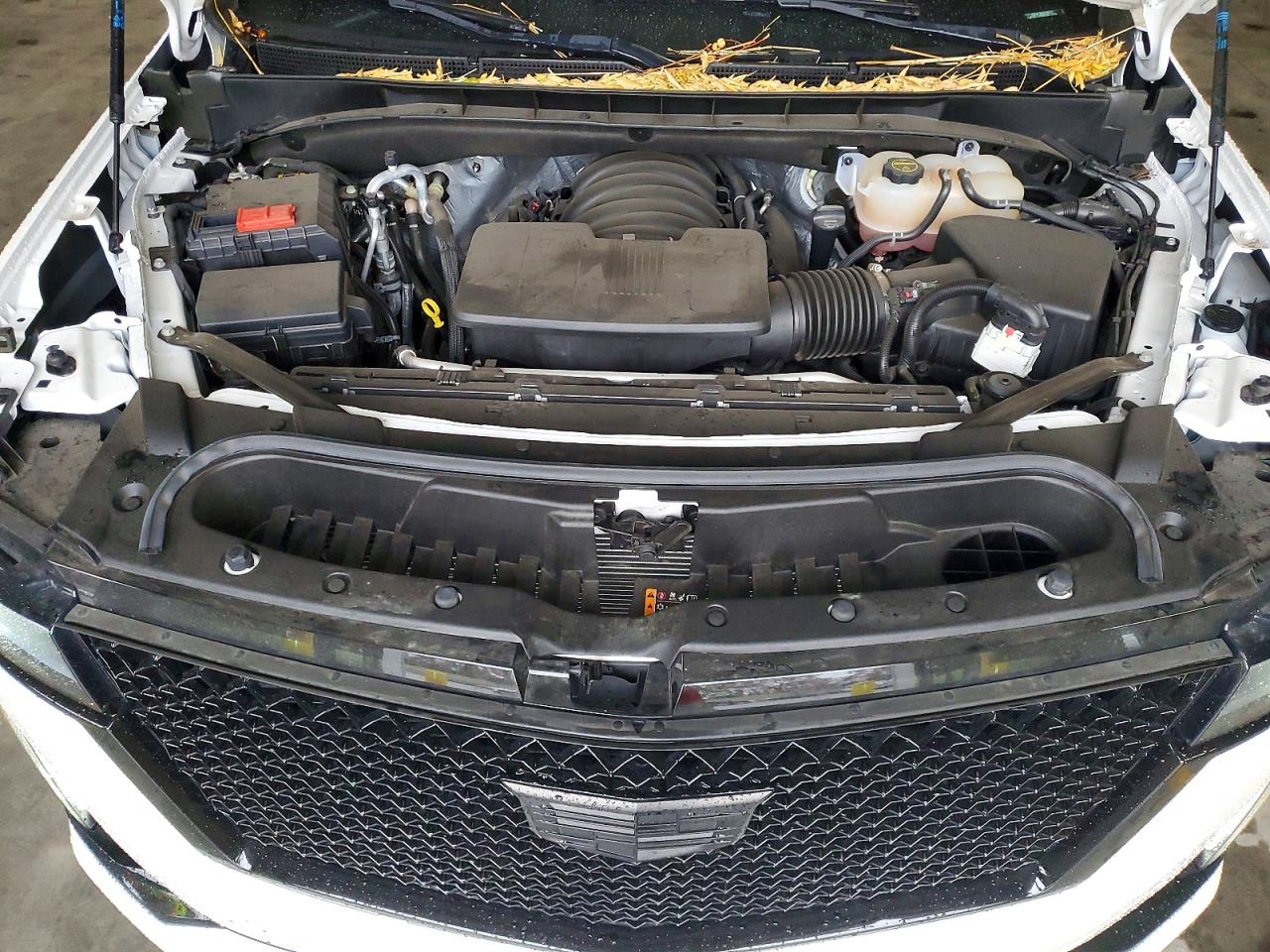 2024 CADILLAC ESCALADE SPORT PLATINUM photo 12
