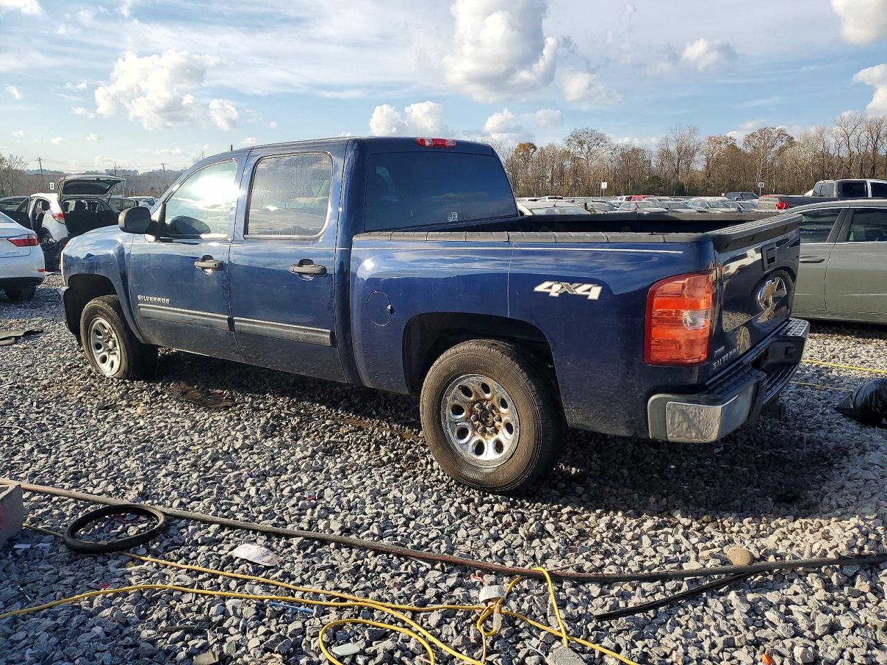 2010 CHEVROLET SILVERADO K1500 LS photo 3
